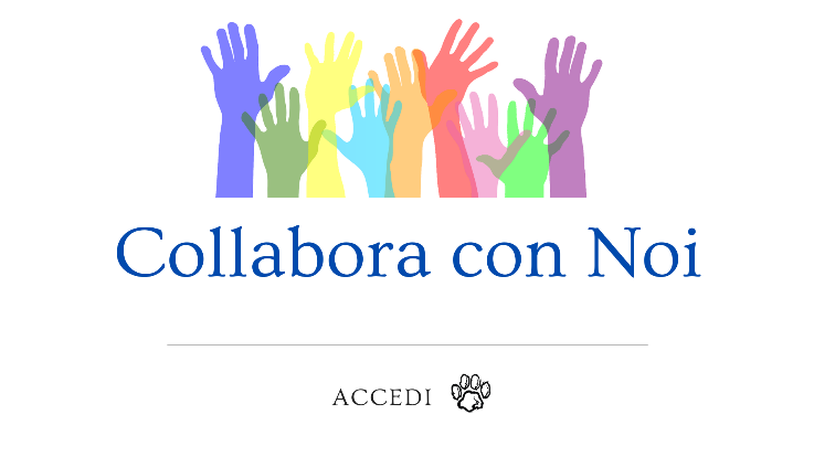 COLLABORA CON NOI